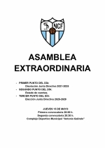 Asamblea Extraordinaria Nerva CF