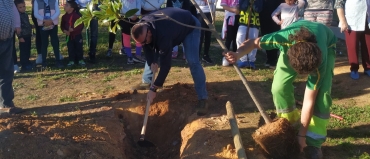 Tiempo de plantar, tiempo de actuar