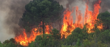 Piden una mayor investigación de los incendios