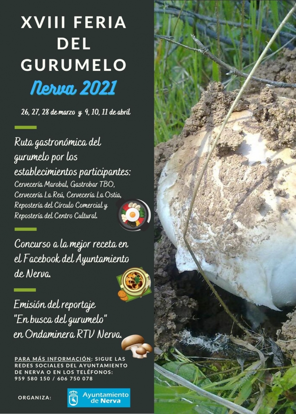 Feria del Gurumelo de Nerva