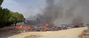 Nota prensa PP Nerva