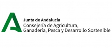 Encauzamiento arroyo Santa María