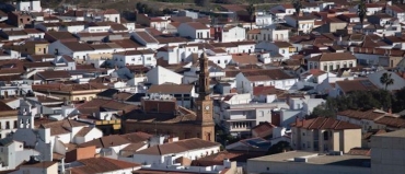 Deslealtad institucional