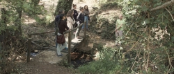 Plantación de 2.000 árboles en Cuenca Minera y Sierra