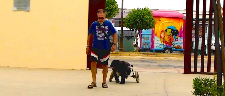 La historia de Carla y Salvador