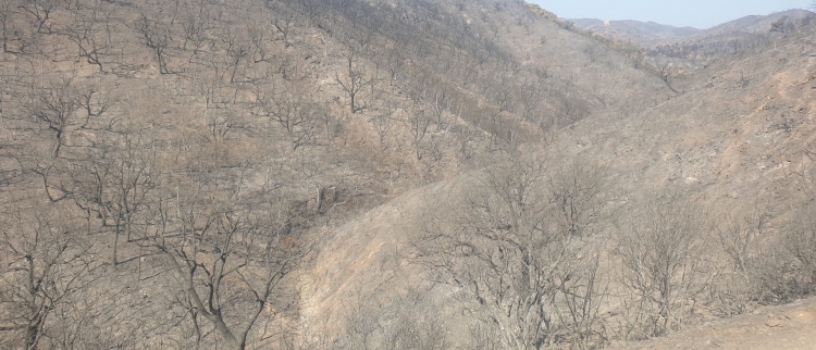 Ecologistas en Acción