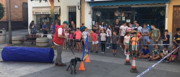 Día Mundial de los Animales