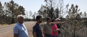 El PP de Huelva visita la zona afectada por el incendio de Nerva